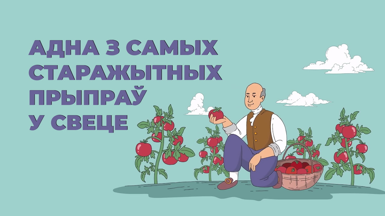 Тэд 06