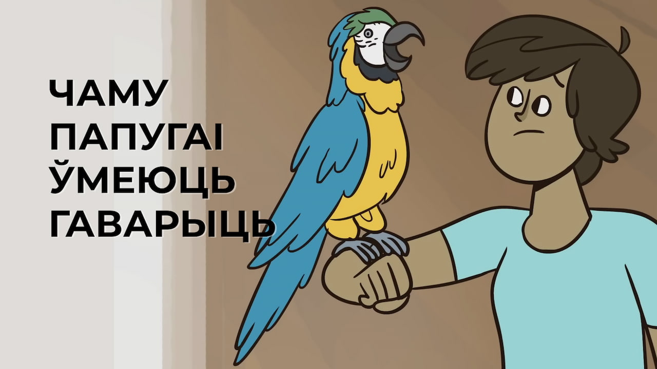 ТэдЭд 024